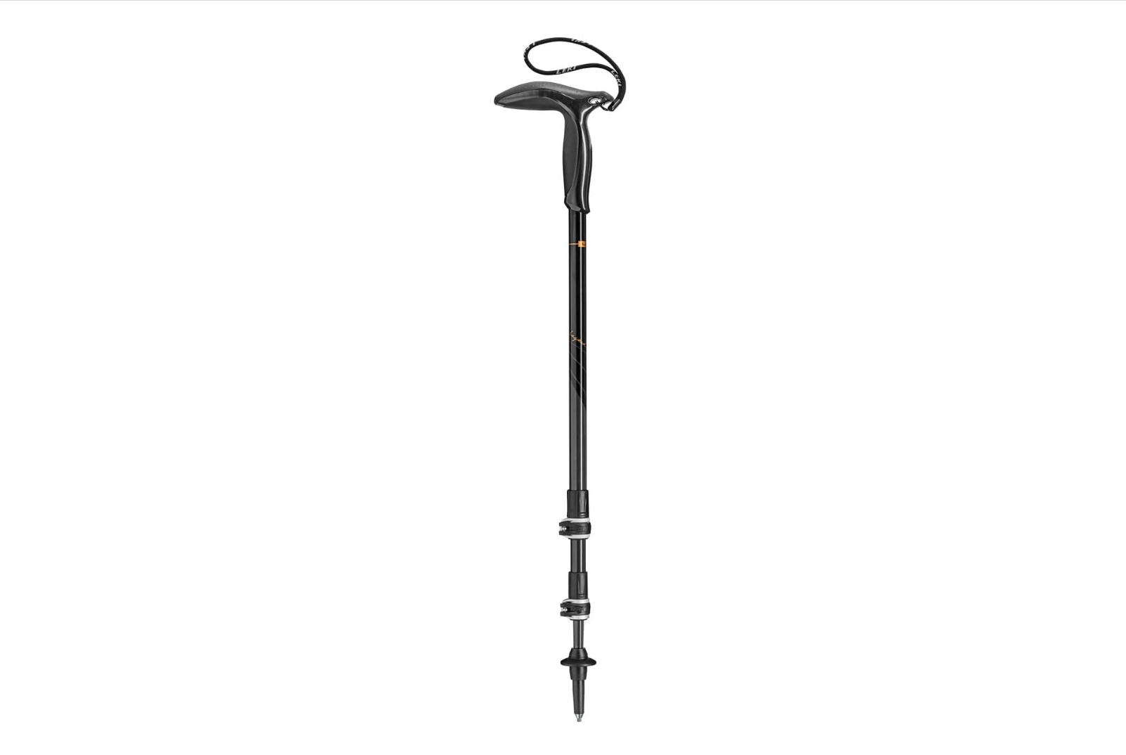 Walking stick